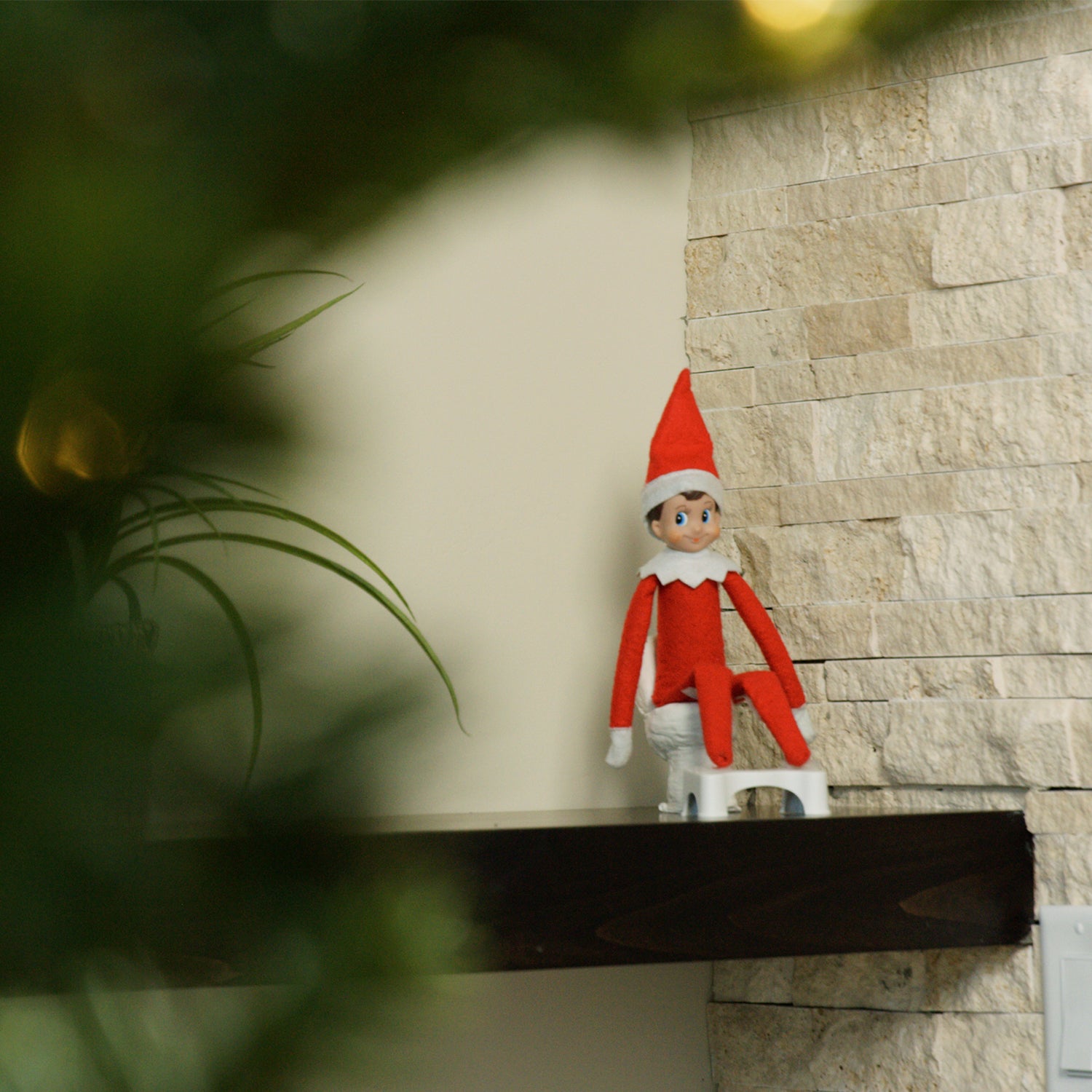 My Little Squatty Potty - Image 4